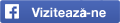 Urmareste pagina noastra pe Facebook Urmareste pagina noastra pe Facebook